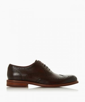 Dune London Pollodium Schicke Schuhe Herren Braun | 635-EQGRXC