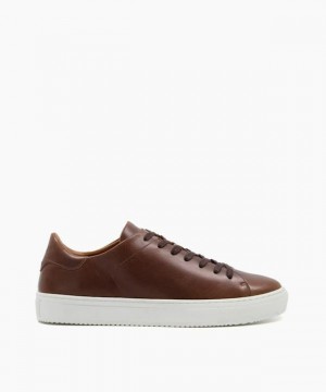 Dune London Thorn Freizeitschuhe Herren Braun | 976-KMUZBC